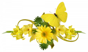 Rihanna - kiss It Better