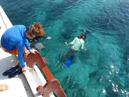 la croisière à Komodo