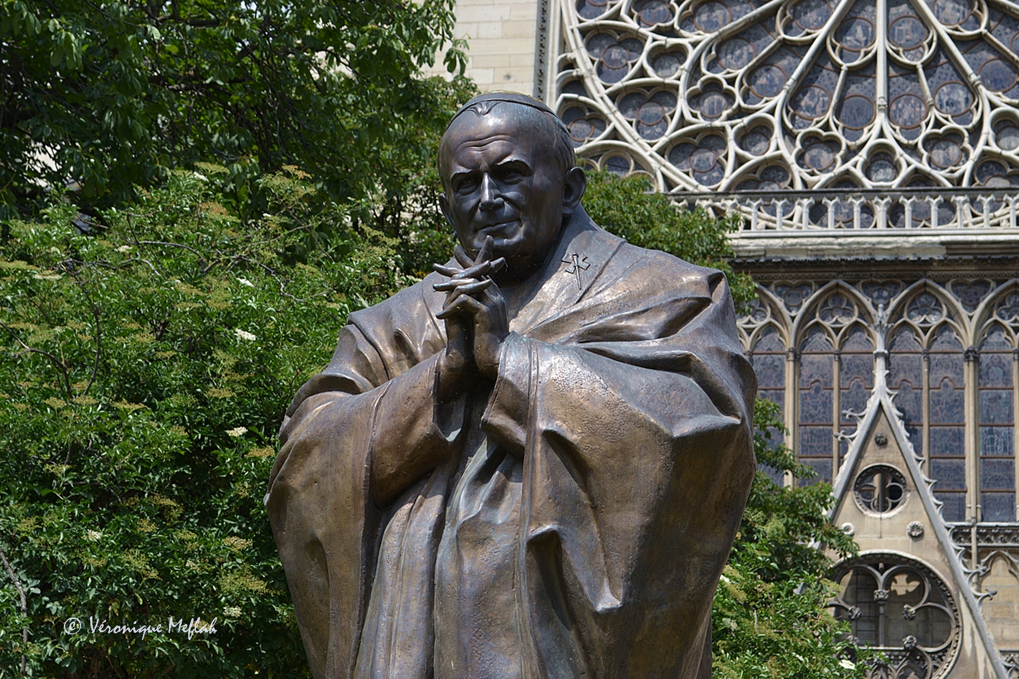 L'île de la Cité : la statue de Jean-Paul II près de Notre-Dame - Une fleur  de Paris