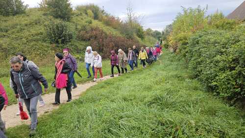 "Marche Rose à Longvic" - Samedi 12 octobre 2024