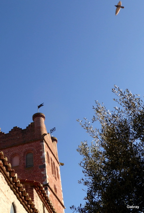 Canet  en Roussillon : l’église