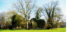 LES REMPARTS DE PONT-SAINT-PIERRE (Eure)