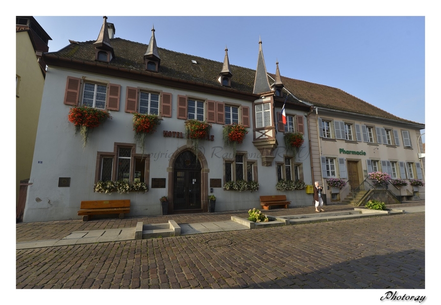 Eguisheim - Haut Rhin - Alsace - 9 Septembre 2014