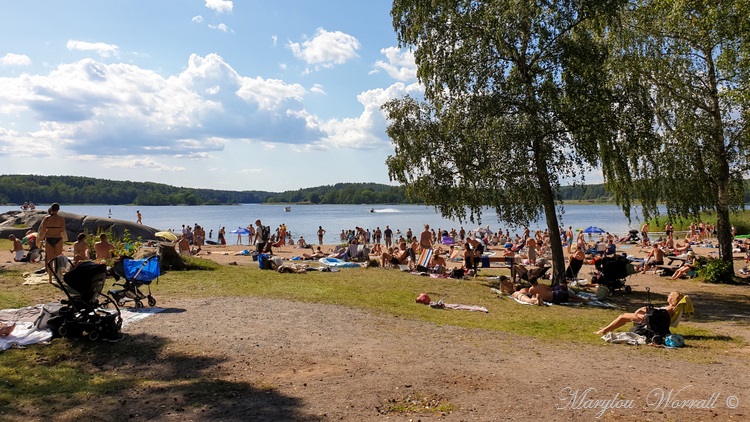 Suède : Île de Vaxholm balade en forêt