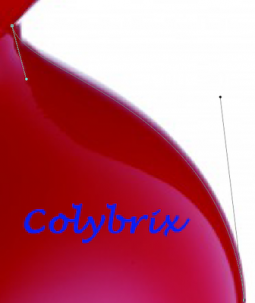 La plume (2e partie)