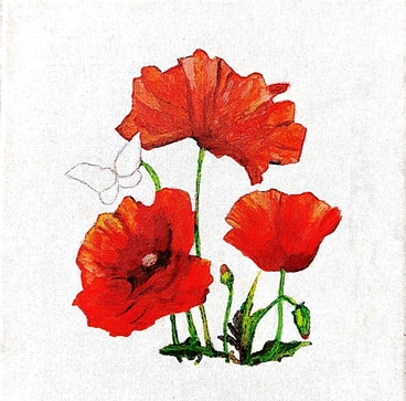 Coquelicots et papillon