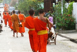 L'or des Temples du Petit Vehicule