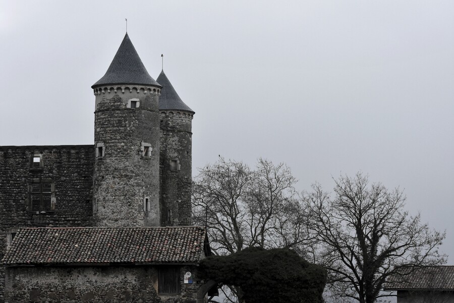 2019.02.02 Château de Bon Repos (commune de Jarrie, Isère)