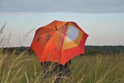 Parapluie en Belgique... 