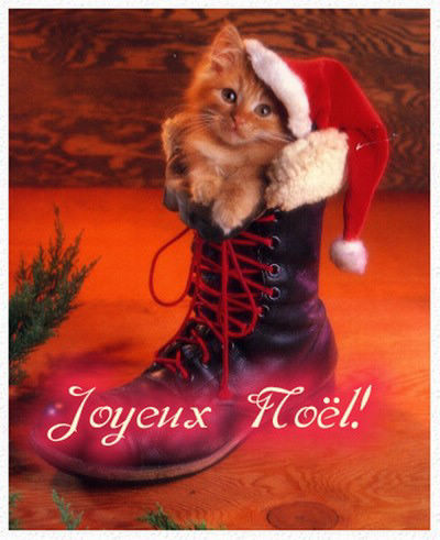 C'EST NOEL !!!