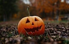 Smiling Jack O Lantern autumn fall halloween pumpkins autumn pictures jack o…