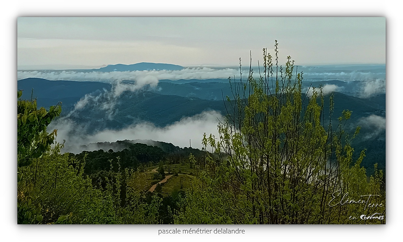 29/04/24 - Depuis le Col de la Baraque après l'épisode méditerranéen du 28 avril