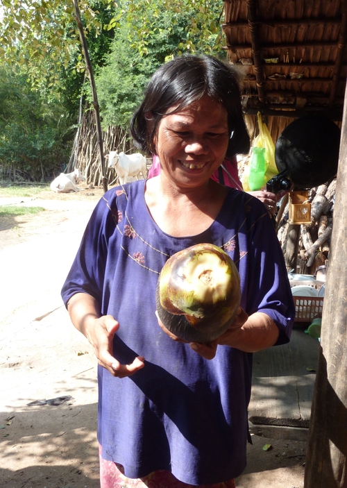 Odong Rossey, village de potiers au Cambodge