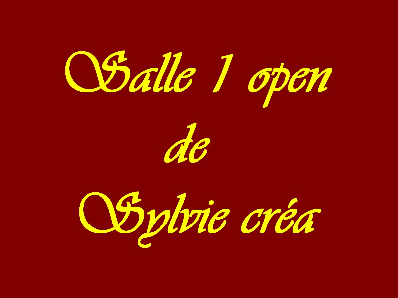 Salle 1 open de Sylvie Créa