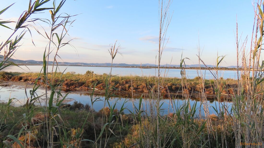 la presqu'île de Giens - 2