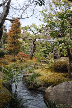 Partageons la beauté des jardins japonais !!