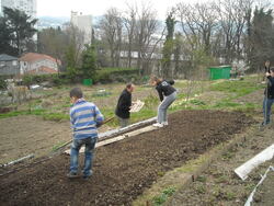 C'est le printemps.Retour aux jardins Volpette