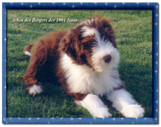 Athos Athos