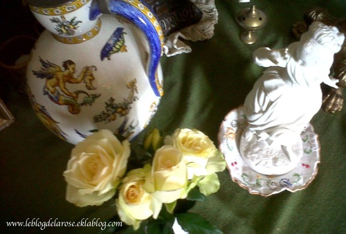 Rose blanche et biscuit /White rose and earthenware biscuit