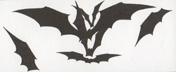 Scans de l'artbook Vampire Knight - Illustrations