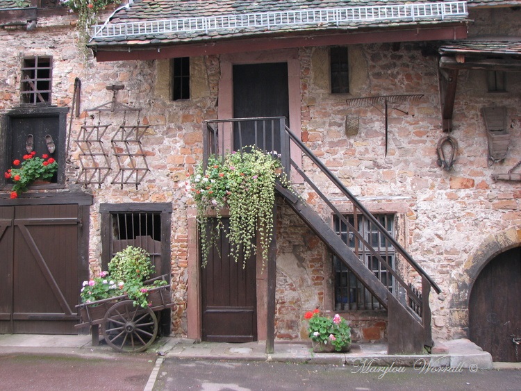 Colmar : Balade du lundi 20 novembre 1/2