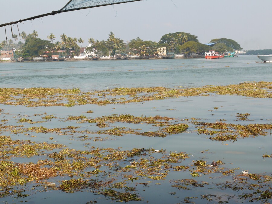 Cochin - Port de pêche - inde du sud 