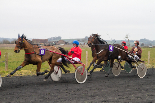 Prix de FERRIERES-EN-BRAY	