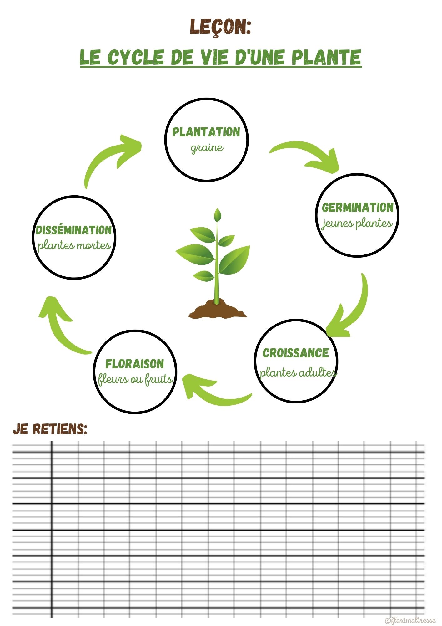 Evaluation Cycle De Vie D Une Plante Ce2