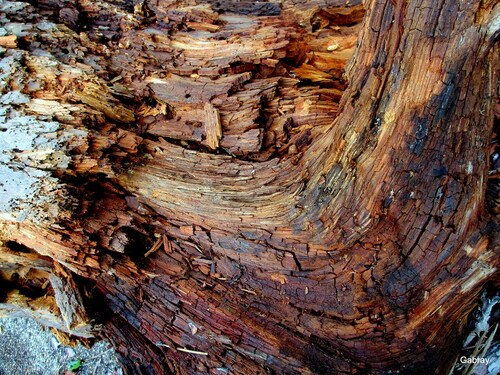 Jeux de bois !