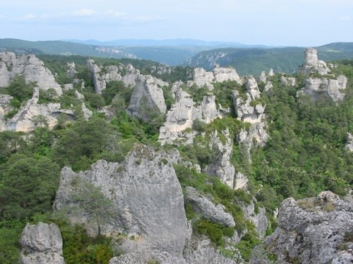 montpellier le vieux.jpg