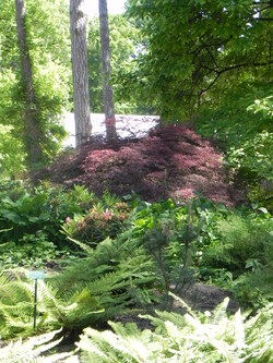 Parc de Vincennes 