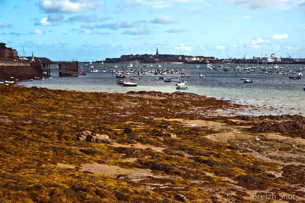 Saint-Malo vu de Dinard