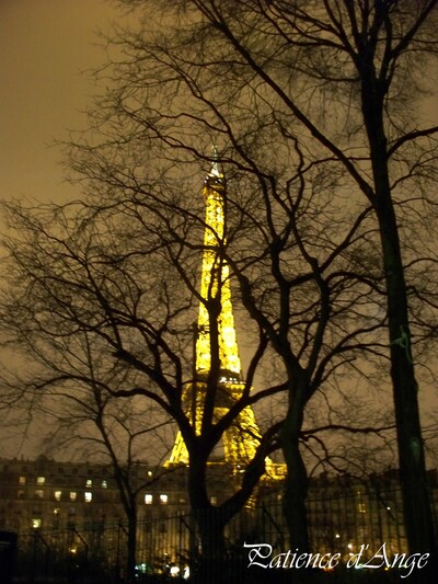 I love Paris sur gaze de soie de Fil en Lin brodé par Patience d'Ange