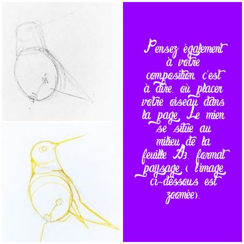 Dessin et peinture - vidéo 3288 : Comment apprendre à dessiner un oiseau coloré ? - technique mixte.