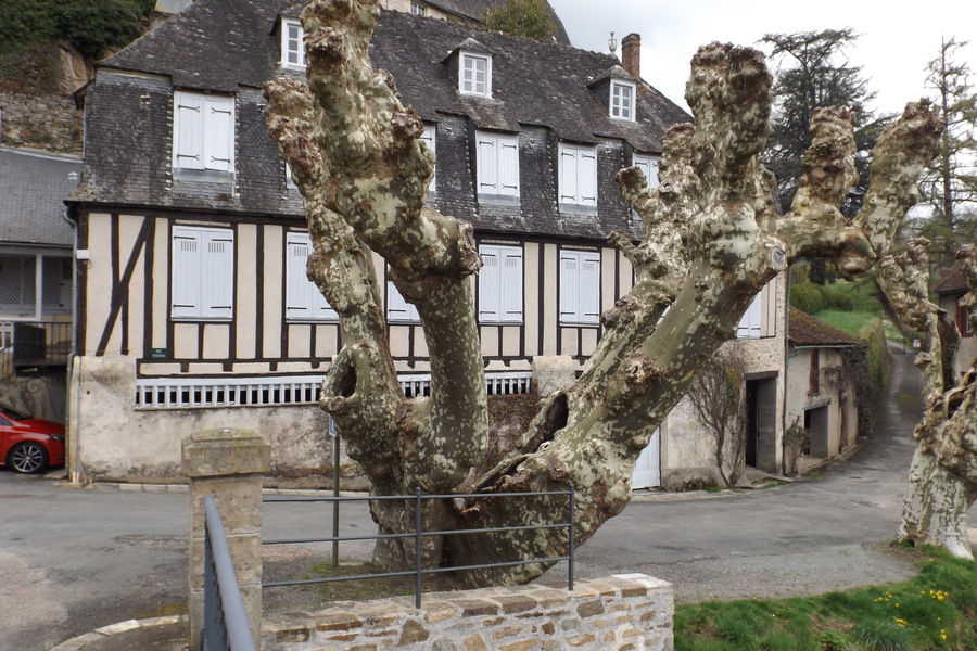 VILLAGE EN CORREZE :  SEGUR LE CHATEAU EN AVRIL 2018