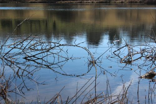 Baraqueville : les reflets du lac