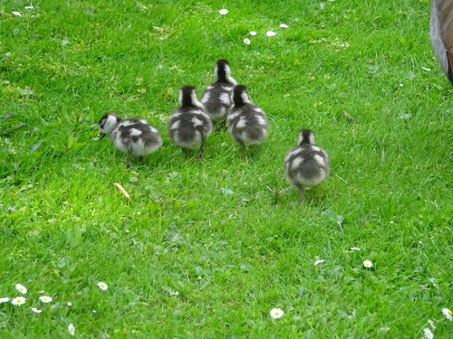 Sortie en famille !