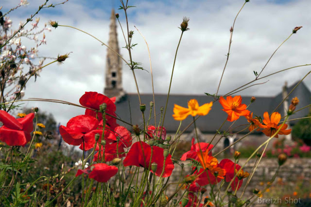 Lanvaudan,  coquelicots - église Saint-Maudé