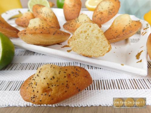 Madeleines aux deux citrons  