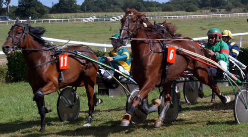 Hippodrome de Guingamp - Réunion du 11 septembre 2016