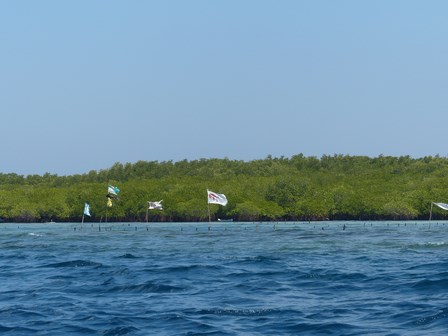 Nusa Lembongan, une île qui ne ressemble pas à sa voisine