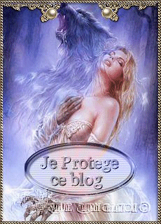 Protèges blogs série 15