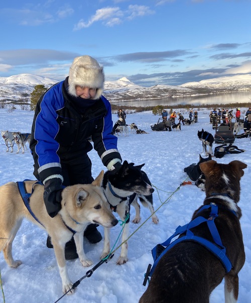 Musher en arctique