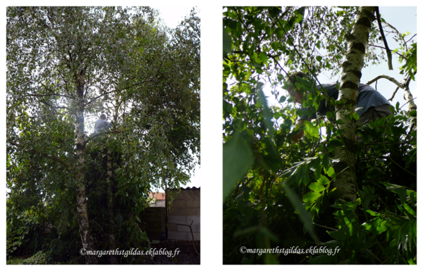 Douce campagne, le jardin - Sweet country, the garden