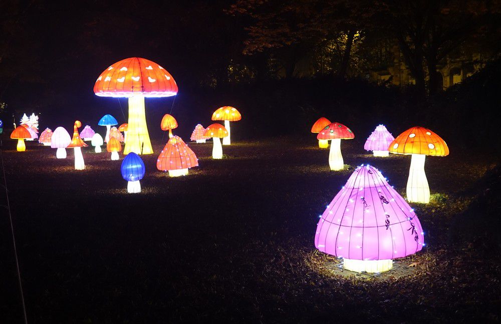 Les lumières légendaires à Bordeaux - Les champignons...