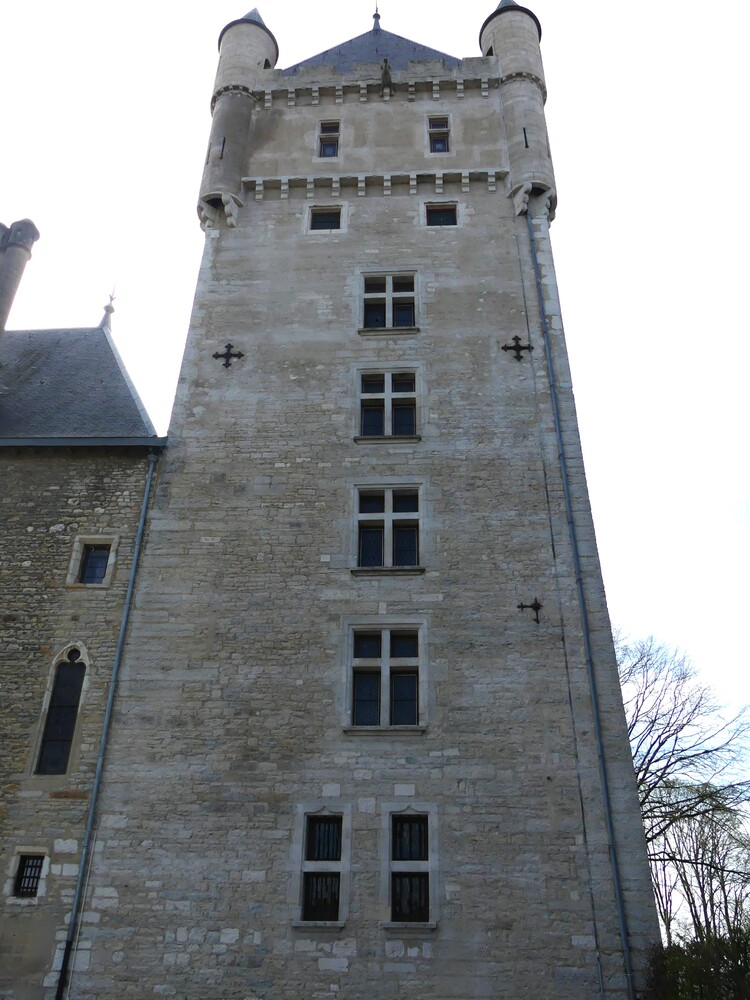 CHATEAU  DE CHAZEY  SUR  AIN