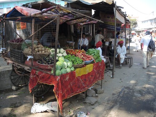 Inde 2014- Jour 9- Visite du village d'Achrol