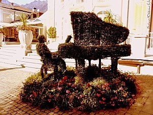 Pianiste végétal à Merano