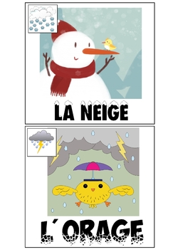 La météo des oiseaux