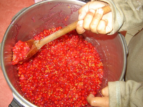 Confiture (de groseilles)